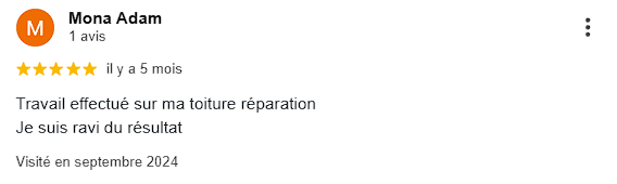 avis demoussage toiture 3