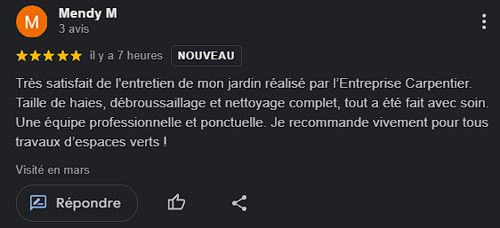 avis google maps carpentier